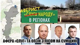 Схема "Слуг" та ОПЗЖ по розкраданню бюджету України на експорті лісу / Оновлено!