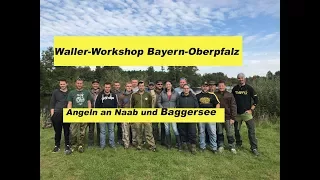 Waller Workshop Bayern Oberpfalz / Angeln an Naab und Baggersee / Boje und Klopfen by Stefan Seuß