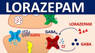 Lorazepam 0.5 mg (ativan) - Mechanism, side effects, precautions & uses