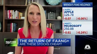 Important to have exposure to FAANG, cyclical stocks: Brenda Vingiello