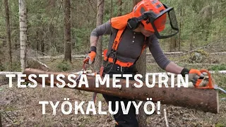 Testissä metsurin työkaluvyö!