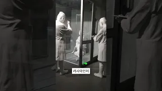 충격! 경성 크리처 실사판