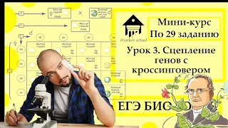 Мини-курс по задачам по генетике. Урок 3, Сцепление генов с кроссинговером |ЕГЭ БИОЛОГИЯ |Freedom|