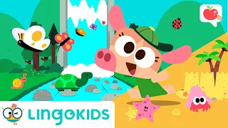 TAKING CARE OF OUR PLANET🌎 💗 VOCABULARY, SONGS and GAMES | Lingokids