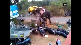 Caught on camera: Elephant goes berserk, damages vehicles