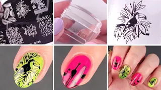 How to nail stamp | For beginners | Everything you need to know
