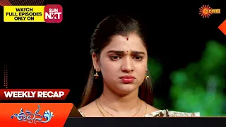 Uppena - Weekly Recap | 27 May - 01 June 2024 | Gemini TV | Telugu Serial