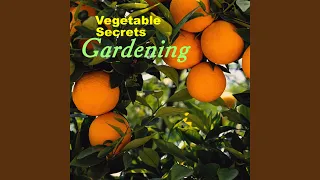 New Technologies in Vegetable Gardening