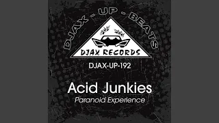 Theme From Acid Junkies