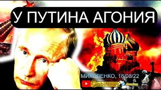 Пyтин умоляет Зеленского о мире. Почему? Вaсилий Микoленко, на SоbiNеws. #44