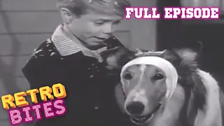 Lassie full episodes 🎄A Christmas Story 🎄 Christmas Special - Old Cartoonss