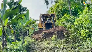 How to Maintain Banana Garden Roads that Have Been Unused for a Long Time Using a CAT D6R XL Dozer