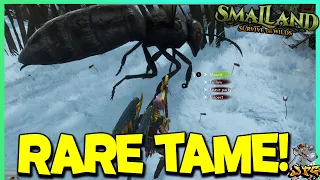SMALLAND UPDATE Live! Let's Get All The Rare Tames!