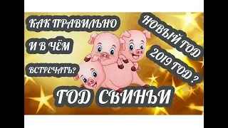 Как и в чём правильно встречать Новый год 2019? Новый год Жёлтой Свиньи по восточному календарю