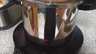 Testing the Temperature of a Pressure Cooker Compared to the Pressure Gauge.