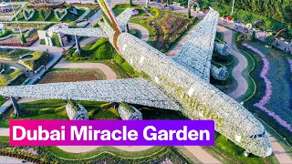 Dubai Miracle Garden | Marvel At The World’s Largest Floral Installation