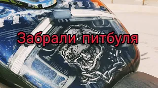 Обзор и отзыв SUZUKI  BOULEVARD C50.