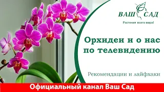 Про наш магазин и орхидеи на Одесском телеканале. Ваш сад