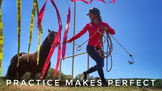 Practice Makes Perfect | 2019 Mustang TIP Challenge