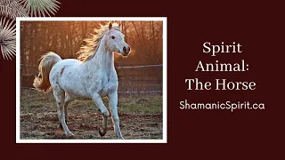 Animal Spirit Guide: The Horse (Shamanic Power Animal). Horse Symbolism