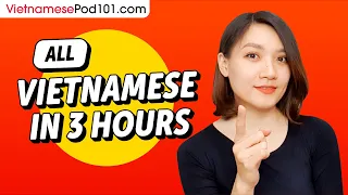 Learn Vietnamese in 3 Hours - ALL the Vietnamese Basics You Need