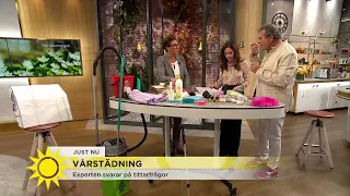 Därför ska du vårstäda: ”Gör det här först och främst!”  - Nyhetsmorgon (TV4)