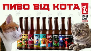 RED CAT BREWERY: за 40 км від Мордора: крафтове пивоваріння у прифронтовому місті | коти та пиво