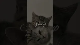 Земфира-,,ЛКСС"(speed up)