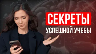 Эффективное обучение: секреты успешной учебы