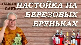 Настойка на БЕРЕЗОВЫХ БРУНЬКАХ / Рецепты настоек / Самогон Саныч