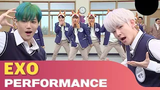 EXO performance compilation! Prayer strategy to get them on Knowing Bros🙏