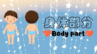 Bodypart Chinese Vocabulary | 身体部分 | Learning About Bodypart