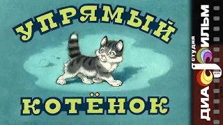 Упрямый котёнок | Диафильм 1980 год