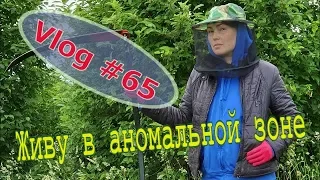 Обзор хозяйства  Индюки . Цесарки. Броли.  Козы. // Юлия Артуровна влог