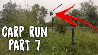 CARP RUN COMPILATION 2021! PART 7! I FishingWorldTV