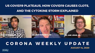 US COVID-19 Plateaus, How COVID Causes Clots, and the Cytokine Storm Explained | Doctor Larry