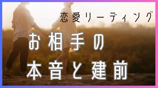 【辛口あります🥵】お相手の本音と建前🦄💫【恋愛リーディング】