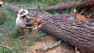 Bora traça as toras .💪💪👏👏