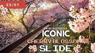 SLIDING under Cherry Blossoms in Japan! Matsuda Festival [S3E1]