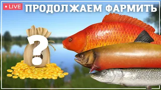 СТРИМ┃ПРОДОЛЖАЕМ ФАРМИТЬ СЕРЕБРО - РР4┃maXS1k