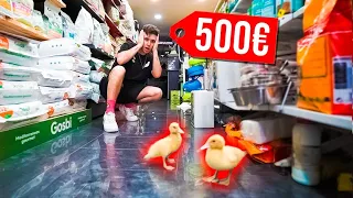 COMPRANDO TODO LO QUE TOQUEN MIS PATOS EN UNA TIENDA!! **mala idea**