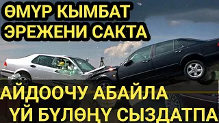 Жол КЫРСЫГЫН азайталы // ӨМҮРЛӨР кыйылбасынчы