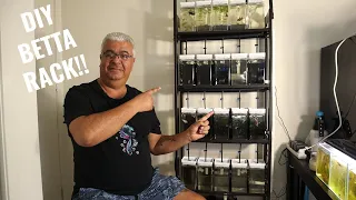 How to build a Betta Rack