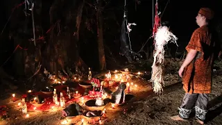 Magia Negra na figueira a árvore amaldiçoada