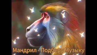 Мандрил - Подберу Музыку|Шоу "Маска-4"|[10-Выпуск🎼]