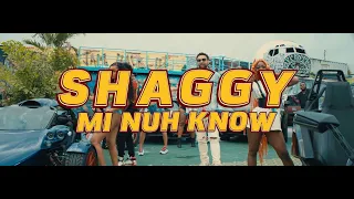Shaggy - "Mi Nuh Know"
