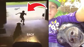 Little boy sneaking into Neighbor's garage to play with Dog
