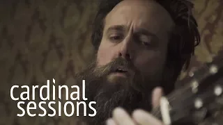 Iron & Wine - Song in Stone - CARDINAL SESSIONS