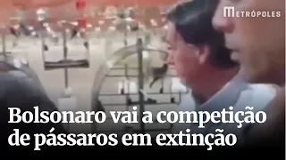 Bolsonaro vai a competição de pássaros em extinção