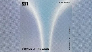 SOTD on NTS 1 #95 [New Age / Ambient / World / Electronic / Synth / Psych / Jazz Music Cassette Mix]